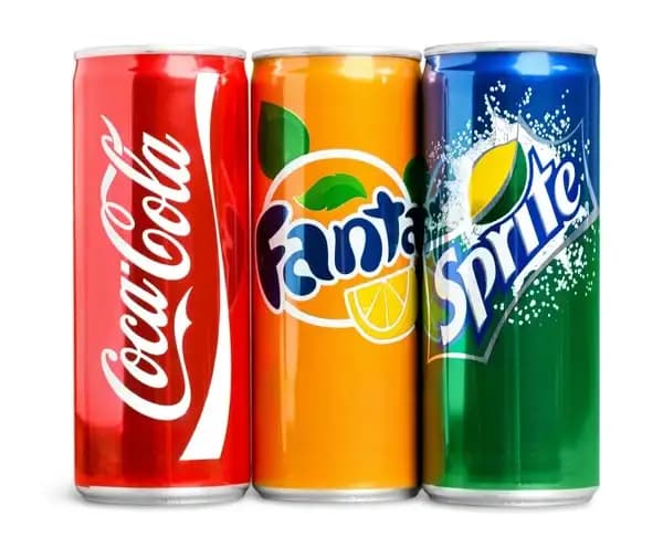 Cola / Fanta / Sprite (300ml. Şişe)